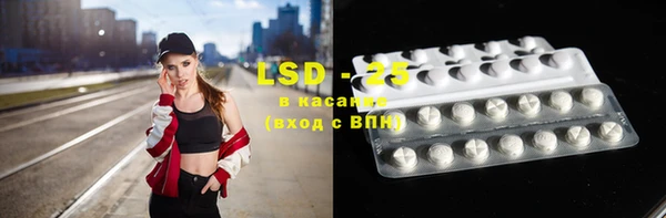 спайс Ладушкин