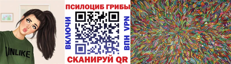 Галлюциногенные грибы Cubensis Карачев